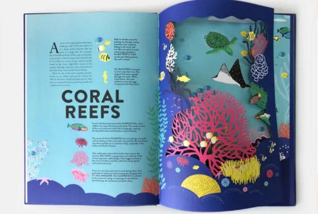 激光鏤空兒童繪本 開啟知識(shí)的海洋