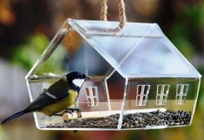 激光切割鳥(niǎo)屋 建筑鳥(niǎo)兒溫馨之家